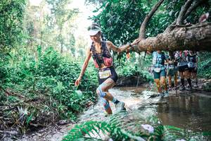 BIB: 
                            <button type="button" onclick="openModal(25460968)" class="btn btn-primary btn-sm float-right btn-popup" data-toggle="modal" data-target=".modal-high-quality">
                        <i class="fas fa-shopping-cart"></i> Add to Cart
                    </button>
                                            <button type="button" onclick="isThisMe(25460968, true)" class="btn btn-success btn-sm float-right btn-popup btn-isme hidden" data-toggle="tooltip" data-placement="bottom" title="นี่คือรูปของคุณใช่ไหม คลิกที่นี่เพื่อเอาเข้าอัลบั้ม">
                        <i class="fas fa-plus"></i> Add to album
                    </button>
                    <button type="button" onclick="isThisMe(25460968, false)" class="btn btn-warning btn-sm float-right btn-popup btn-isnotme hidden">
                        <i class="fas fa-ban"></i> Remove from album
                    </button>